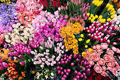 《潜行者2》全新截图 夜色虽美但行动要注意